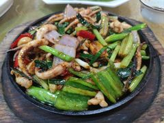 -水上鱼当家