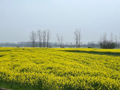 -东梓关景区村庄