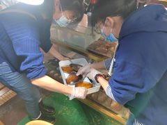 -十八字金·银饰·开蚌DIY·手工体验团建(世纪金源店)