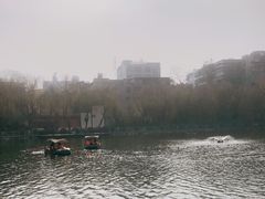-莲湖公园
