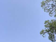 -乌镇景区