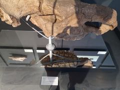 -北京周口店北京人遗址博物馆