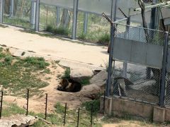 -青藏高原野生动物园