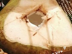 -椰夫人·养生椰子鸡(黄埔时代城店)