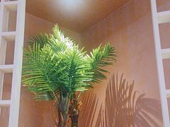 -阿娜尔·新疆菜(宜家荟聚中心店)