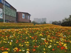 -成都欢乐谷