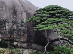 -黄山风景区