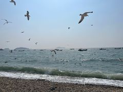 -银沙滩浴场