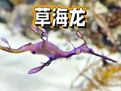 -上海野生动物园