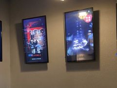 -Mr.Fox狐狸先生超级密室(南山店)