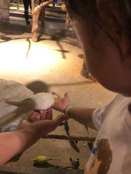 -酷嗒动物文化乐园(cutezoo西溪乐天城店)