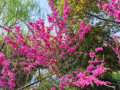 -杭州城北体育公园