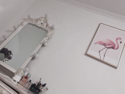 -美肤盾祛痘·问题肌头疗管理中心