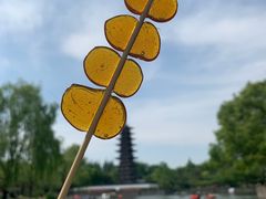 -上海方塔园