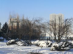 -黑龙江大学