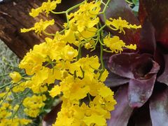 -北京植物园-展览温室