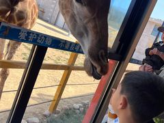 -西霞口神雕山野生动物世界