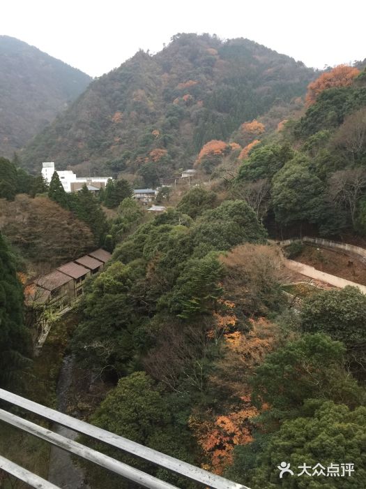 月光园游月山庄图片