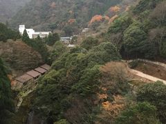 -月光园游月山庄
