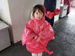-尼亚加拉瀑布州立公园