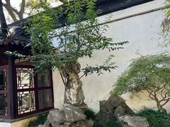 -松鹤楼(山塘街店)