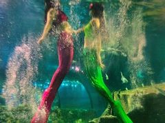 -嘉兴海底世界