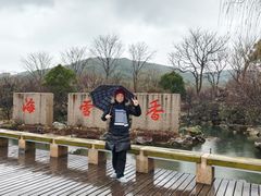 -香雪海
