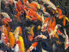 -新世纪大酒楼·30年南海菜