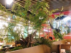 -鲜潭蒸汽石锅鱼(五道口购物中心店)