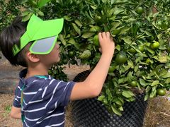 -前小桔亲子创意农场·草莓采摘·露营烧烤