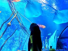 -沈阳海洋探索中心