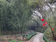-兰亭风景区
