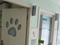 -佳雯宠物医院·皮肤科·内外科(春晓路分院)