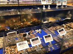 水产区-高佳庄·舟山海鲜(海景旗舰店)