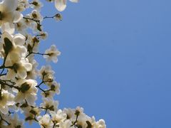 -堤角公园