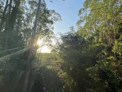 -水濂山森林公园