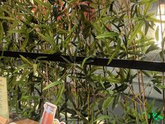 -徽镇小厨·经典徽菜(十里河店)