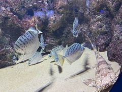 -欢乐海岸海洋奇梦馆