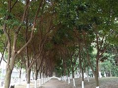 -洪湖家庭农场·团建·露营·会议