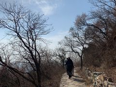 -北京西山国家森林公园