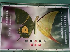 -上海昆虫博物馆