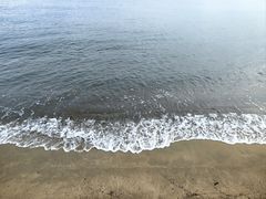 -珍宝海鲜(东海岸海鲜中心)