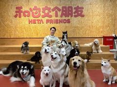 -和它·交个朋友·狗咖猫咖(爱琴海店)