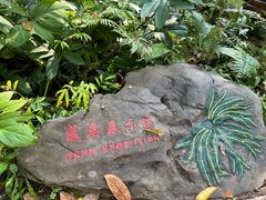 -中国科学院西双版纳热带植物园