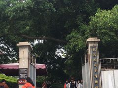 -鼓浪屿钢琴博物馆