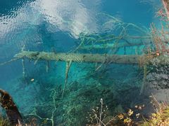 -九寨沟-树正沟