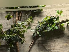 -园里火锅(仁和新城店)