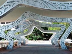 -演武大桥观景平台