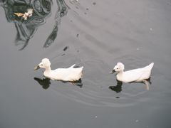 -南山风景名胜区