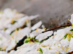 -红星美凯龙(东北全球家居1号店)